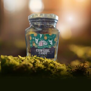 A 250 ml jar of Booysen's Peppers Cowgirl Candy, containing candied pineapple and jalapeños, sitting on sunlit green moss against a warm, blurred forest background.